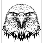 10 Eagle Coloring Pages Free PDF Printables