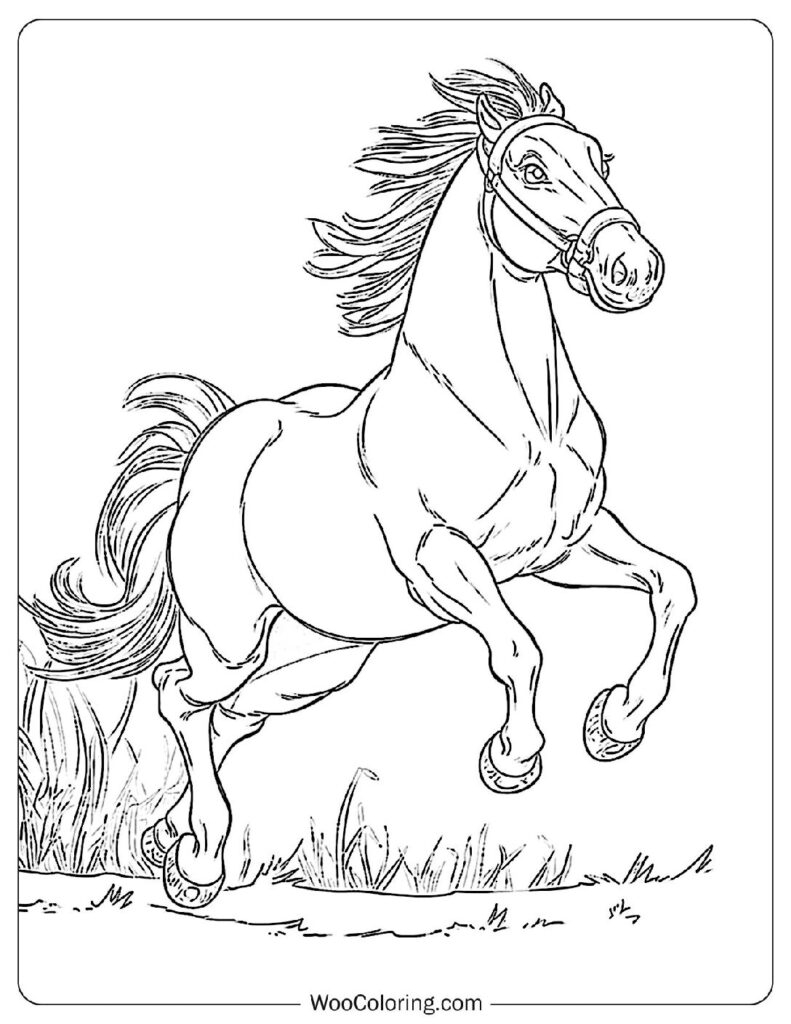 horses coloring pages horses coloring pages