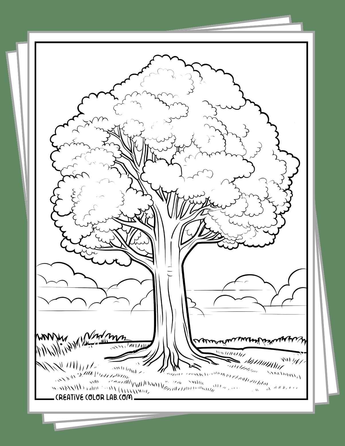 36 Coloring Pages Of Trees Free PDF Printables
