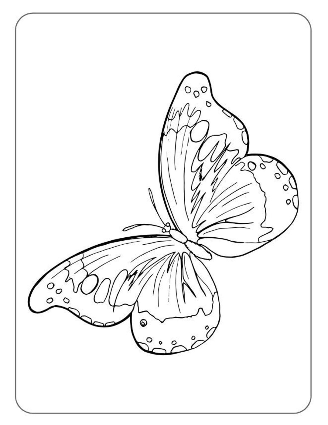 40 Butterfly Coloring Pages 40 Printable Butterfly Coloring Pages For Children Instant Digital Download Etsy 40 Butterfly Coloring Pages 40 Printable Butterfly Coloring Pages For Children Instant Digital Download Etsy