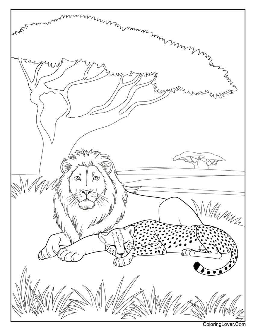 lion coloring page lion coloring page