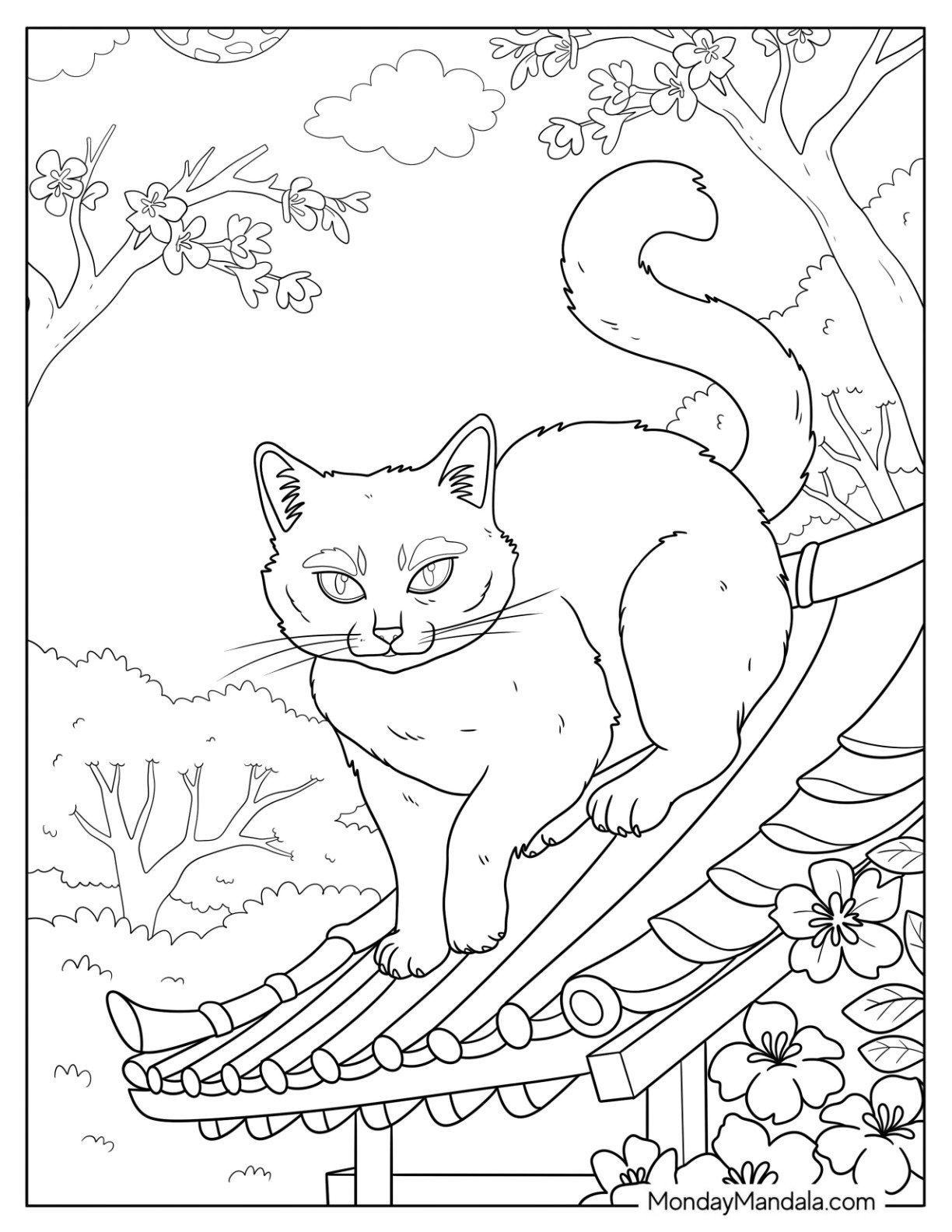 cat coloring pages