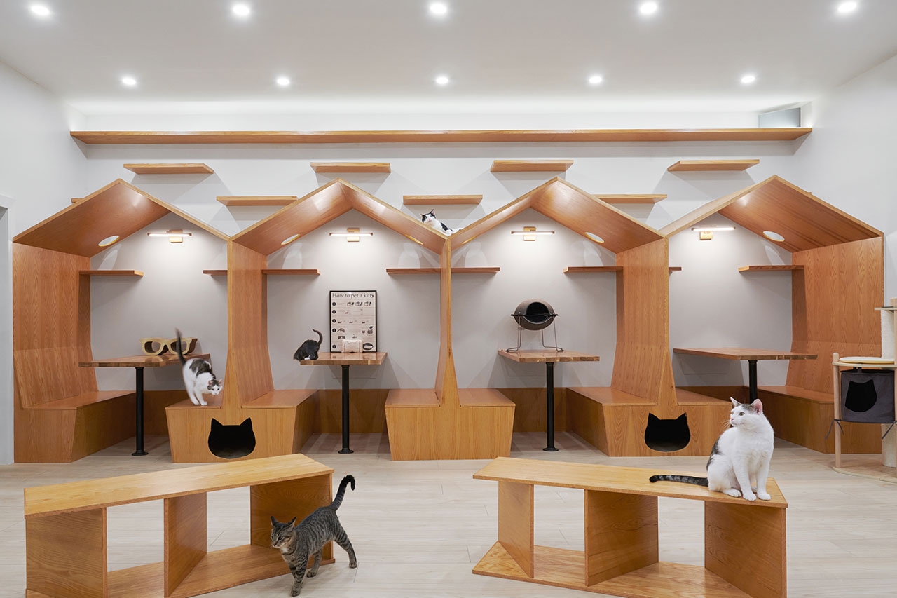 A Visit To The New Meow Parlour NYC s First Cat Cafe