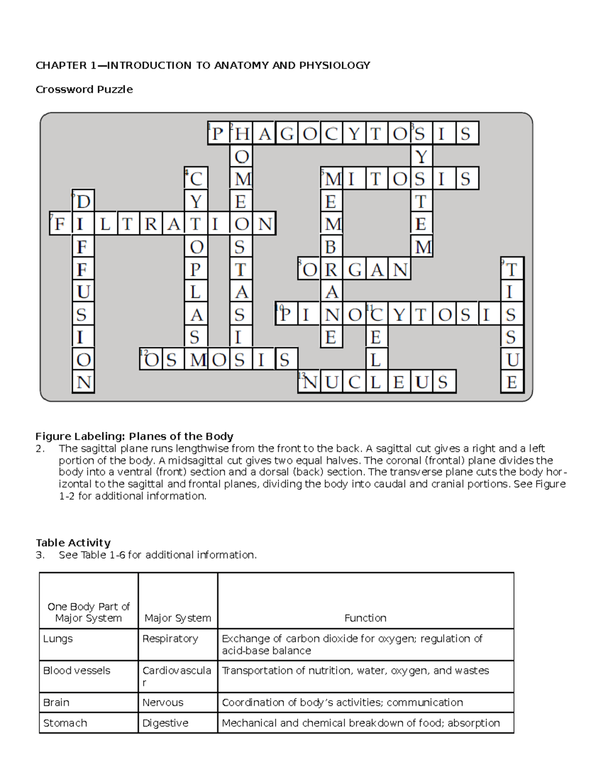 AKSG Study Guide Answers CHAPTER 1 INTRODUCTION TO ANATOMY AND PHYSIOLOGY Crossword Puzzle Studocu AKSG Study Guide Answers CHAPTER 1 INTRODUCTION TO ANATOMY AND PHYSIOLOGY Crossword Puzzle Studocu