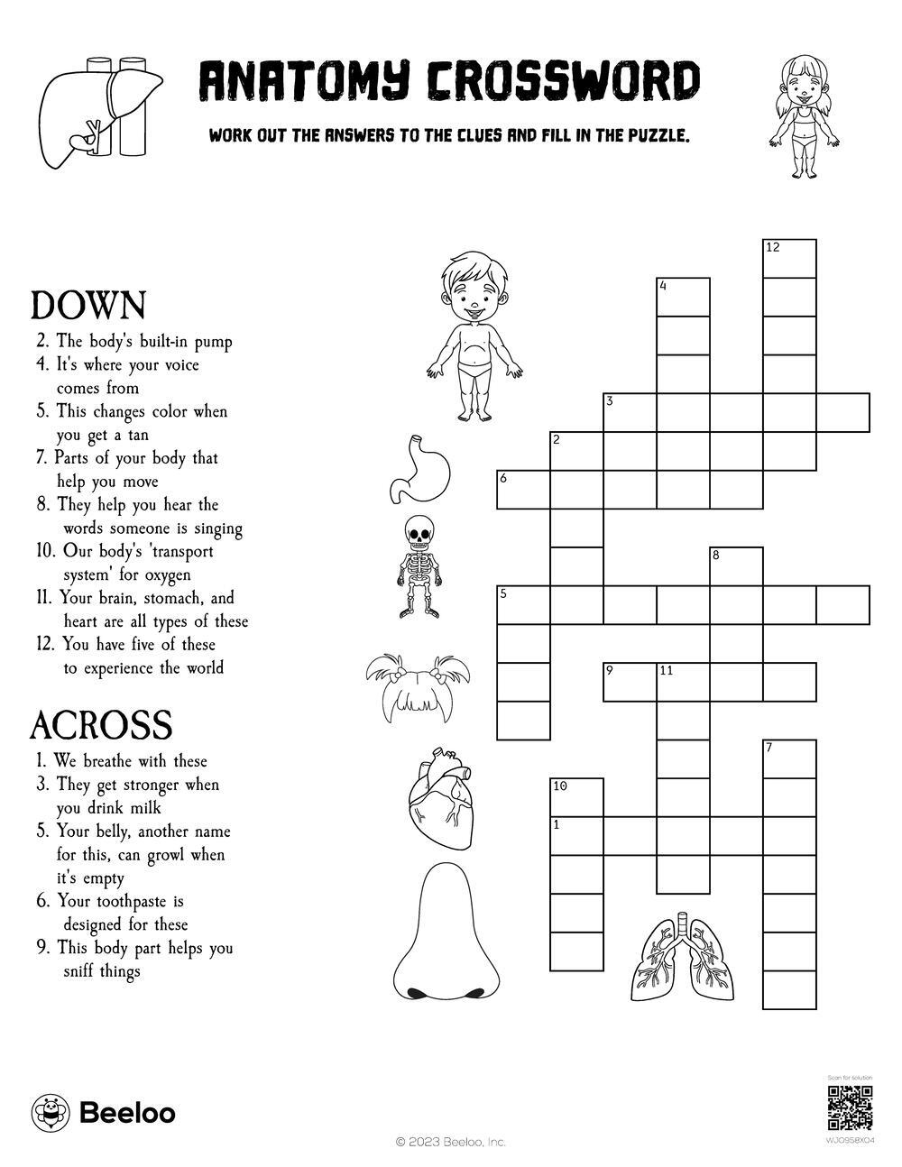 Anatomy Crossword Beeloo Printable Crafts And Activities For Kids