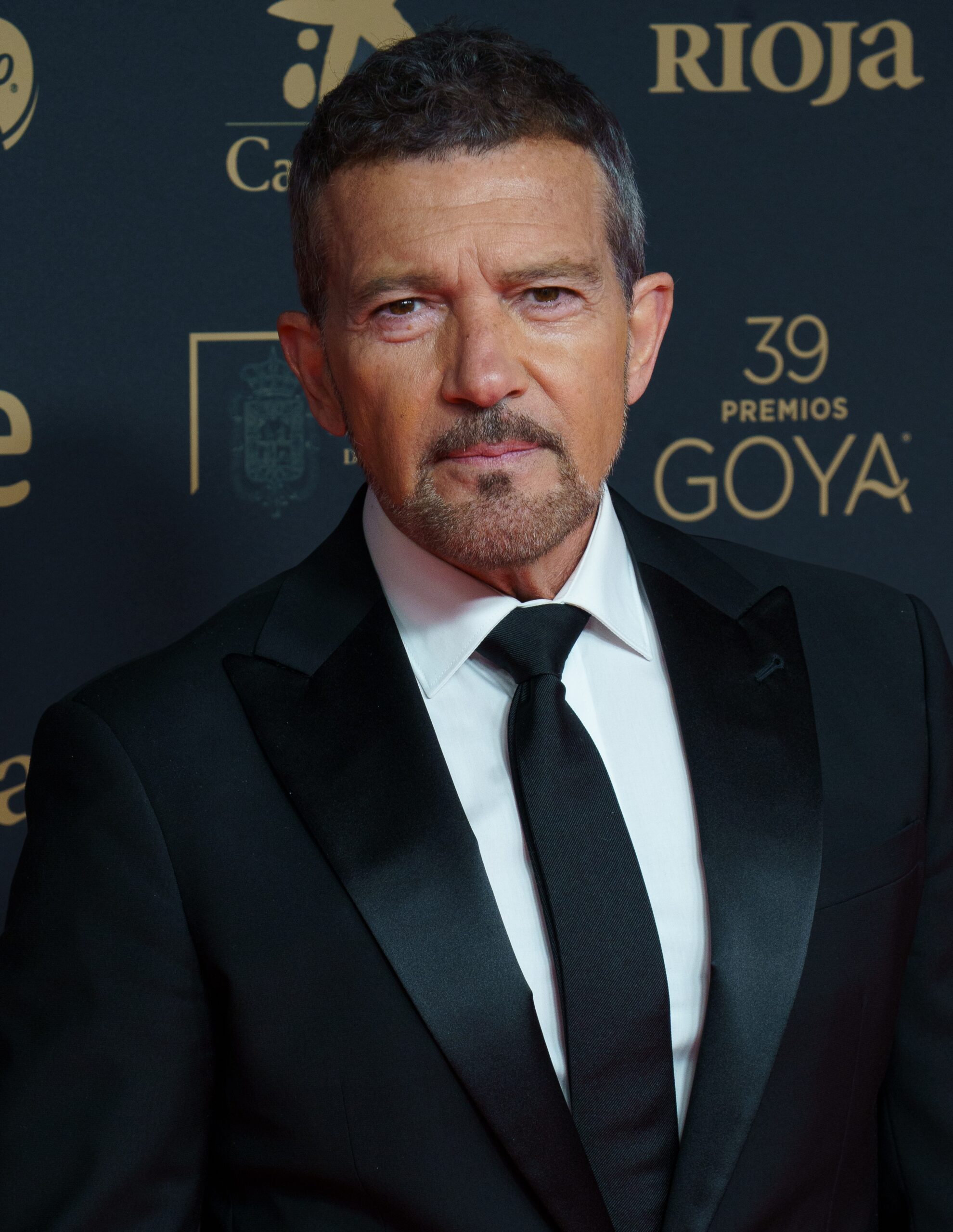 Antonio Banderas Wikipedia