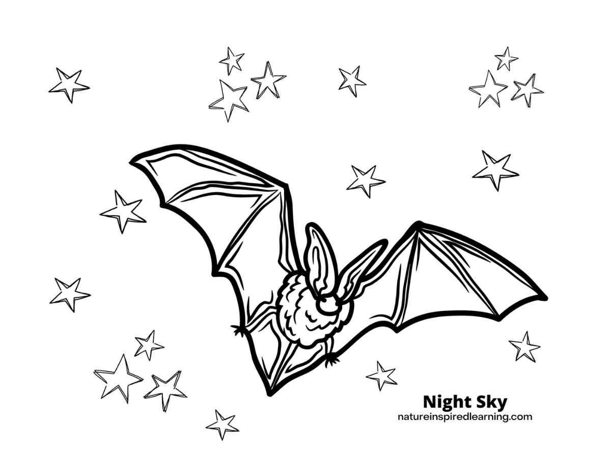 Bat Coloring Pages Nature Inspired Learning Bat Coloring Pages Nature Inspired Learning
