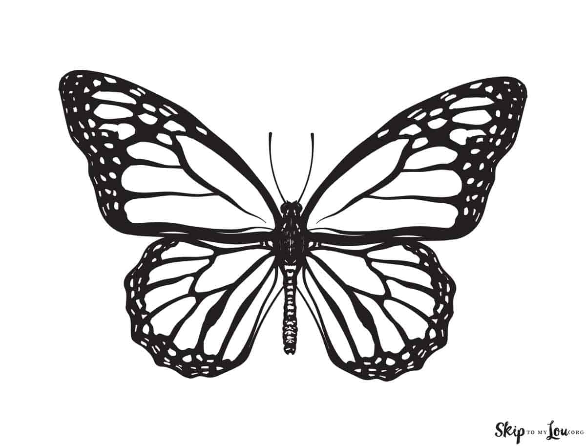 butterflies coloring pages