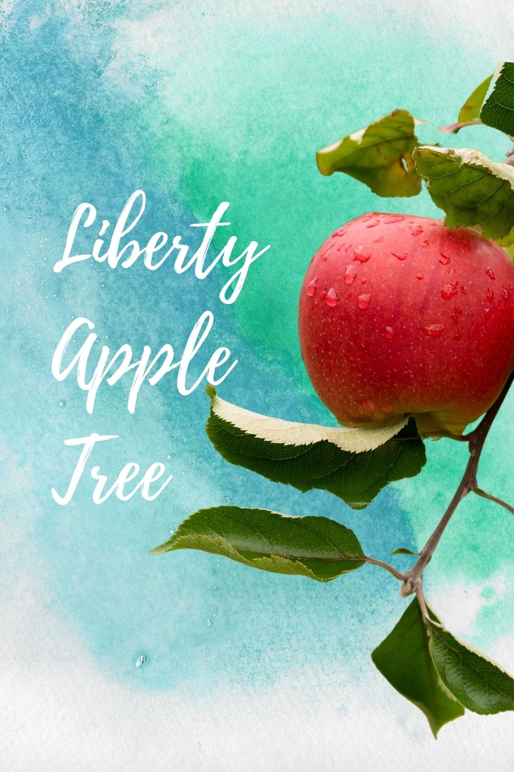 apple variety crossword clue apple variety crossword clue