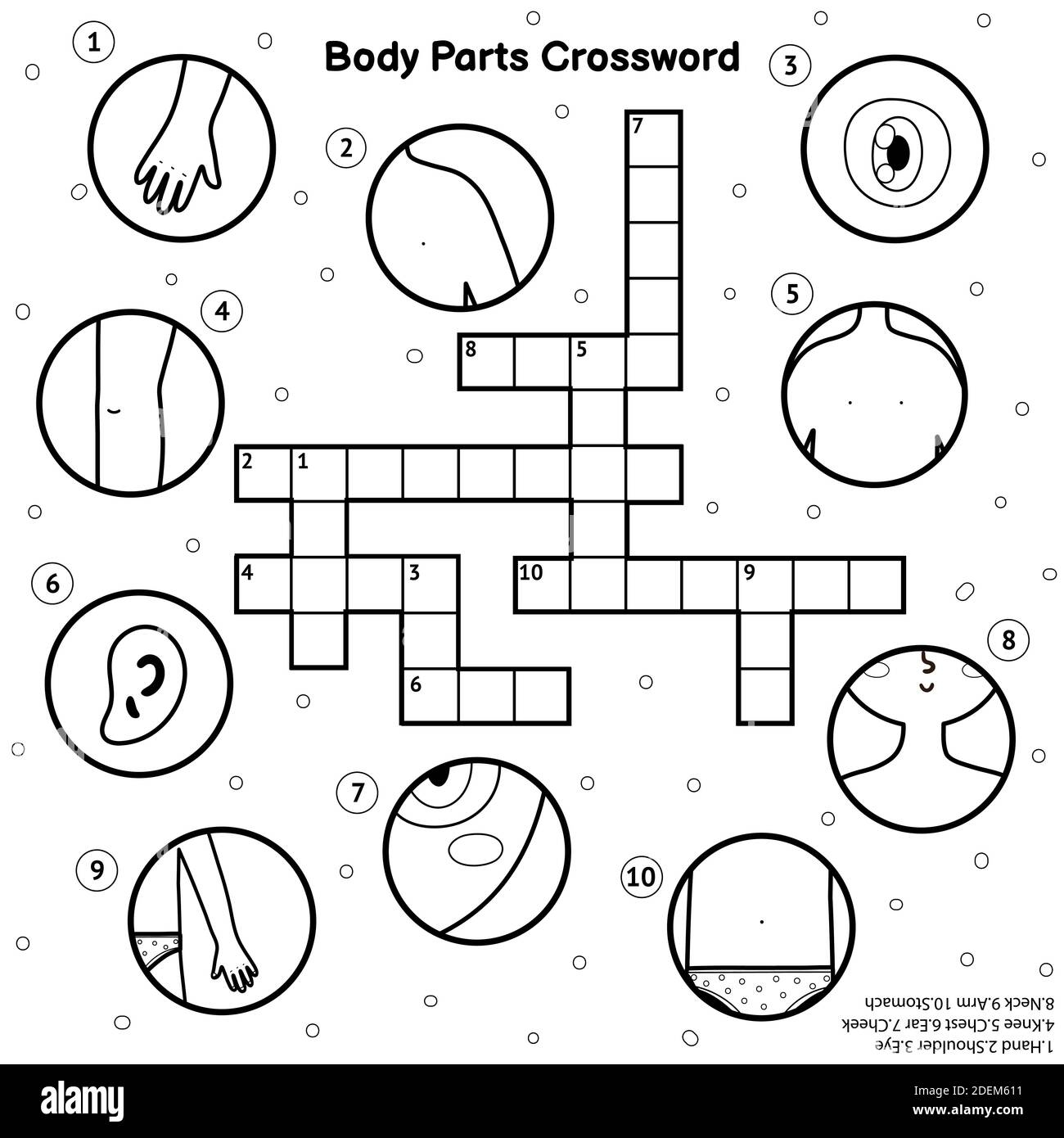 part of the eye crossword