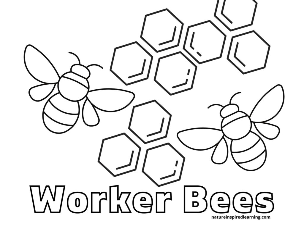 Busy Bee Coloring Pages For Kids Nature Inspired Learning Busy Bee Coloring Pages For Kids Nature Inspired Learning