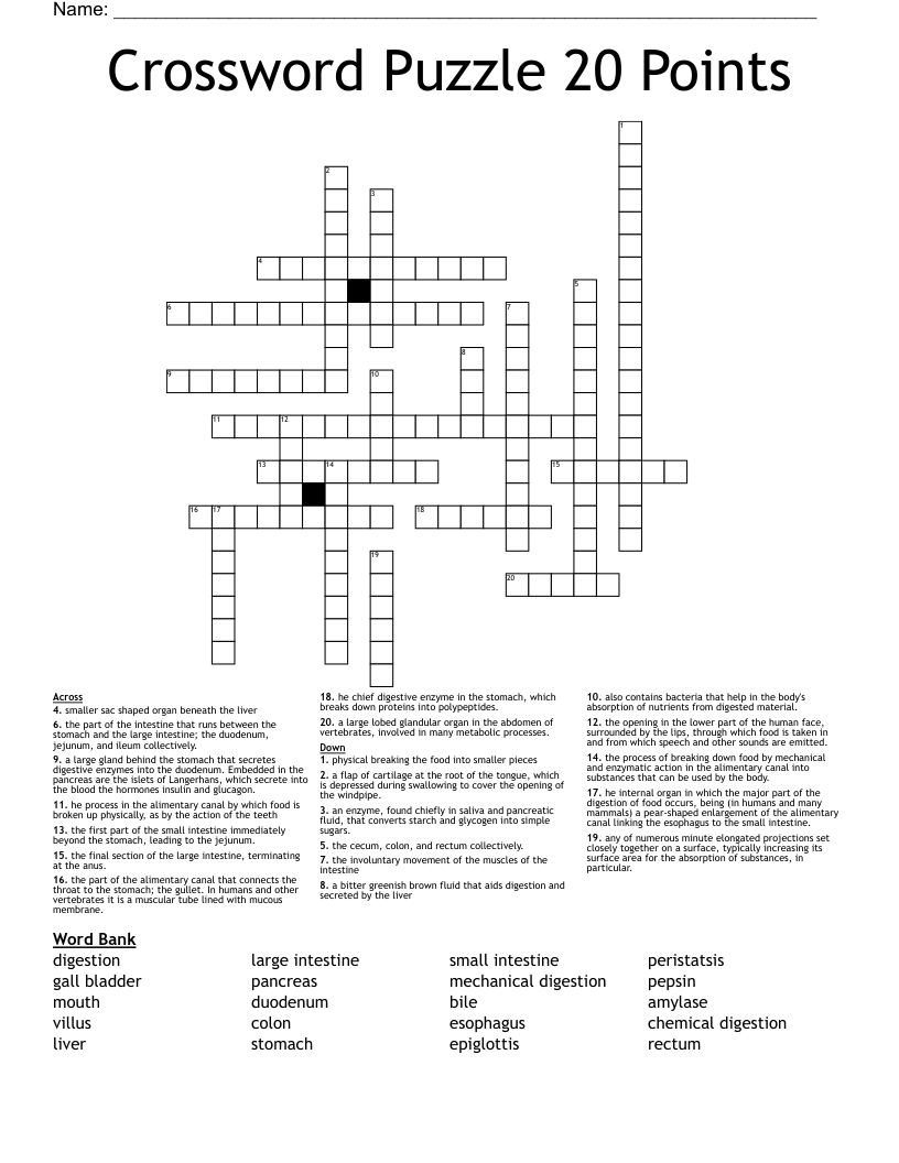 Crossword Puzzle 20 Points WordMint