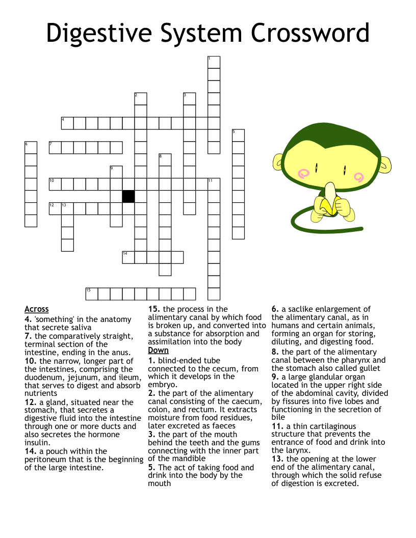 Digestive System Crossword WordMint