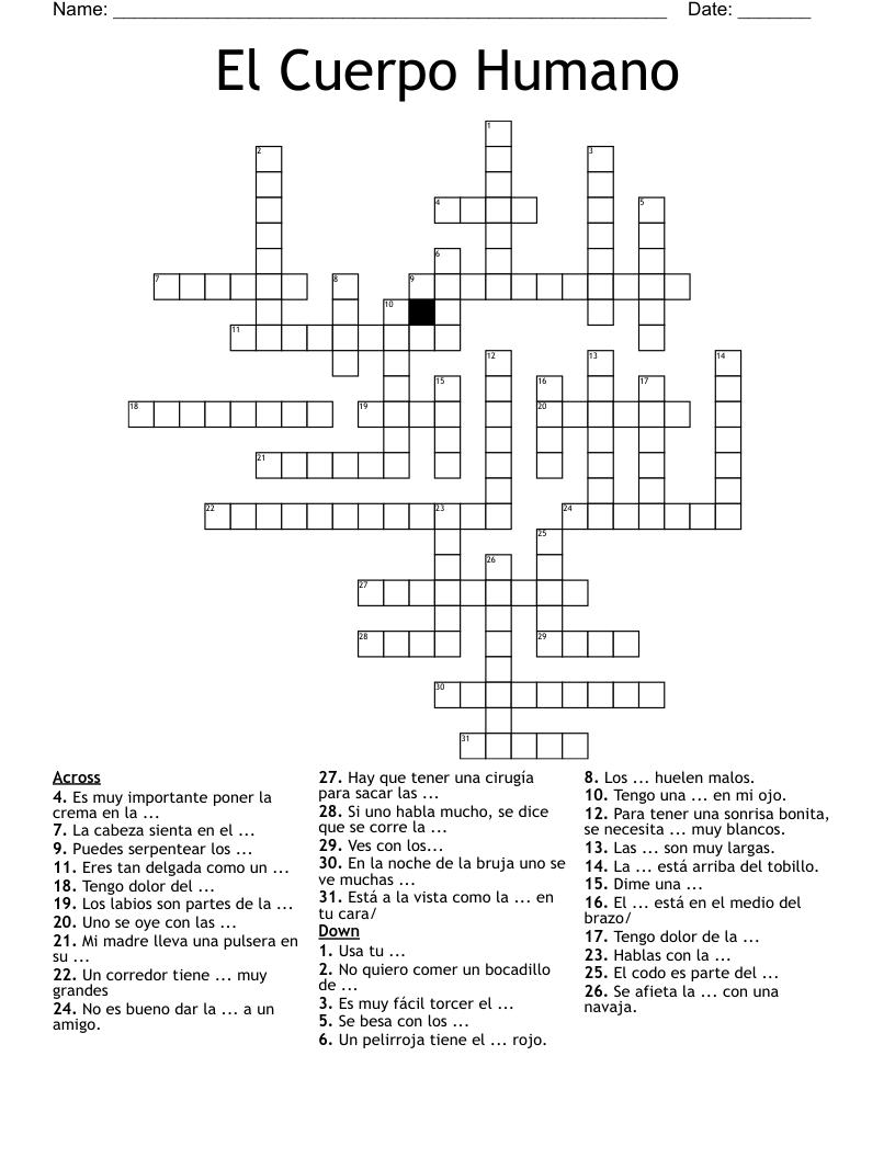 El Cuerpo Humano Crossword WordMint