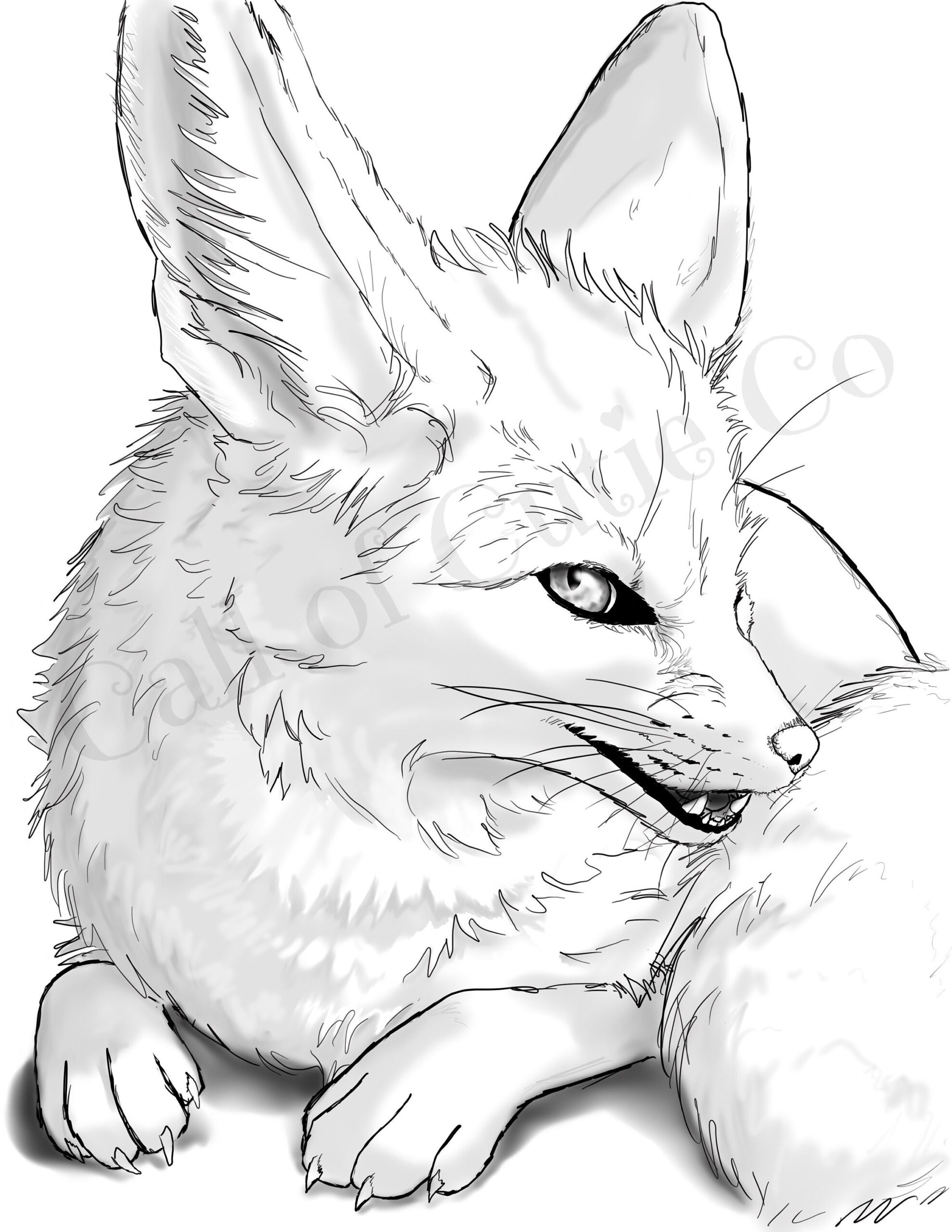 Fennec Fox Color Page fox Digital Color Sheet animal Fox Color Page Etsy
