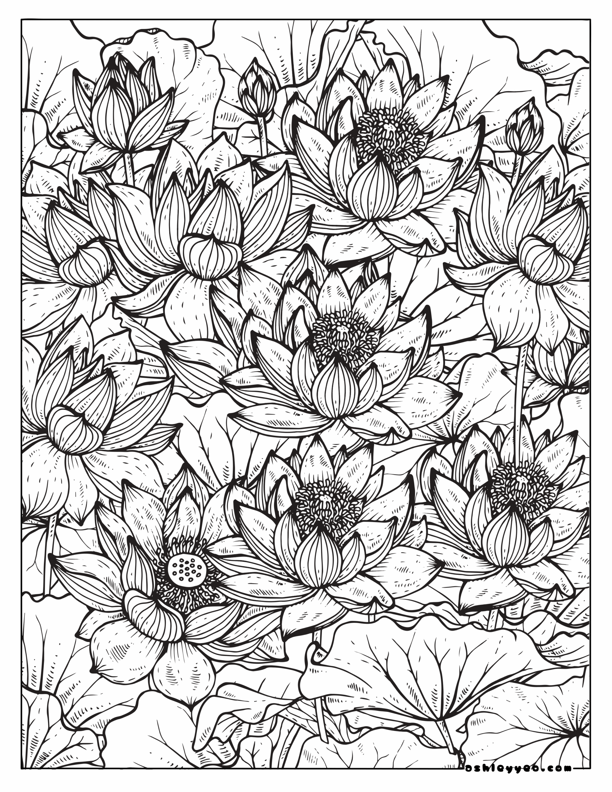Free Coloring Pages For Teens Engaging And Creative Designs Ashley Yeo Free Coloring Pages For Teens Engaging And Creative Designs Ashley Yeo