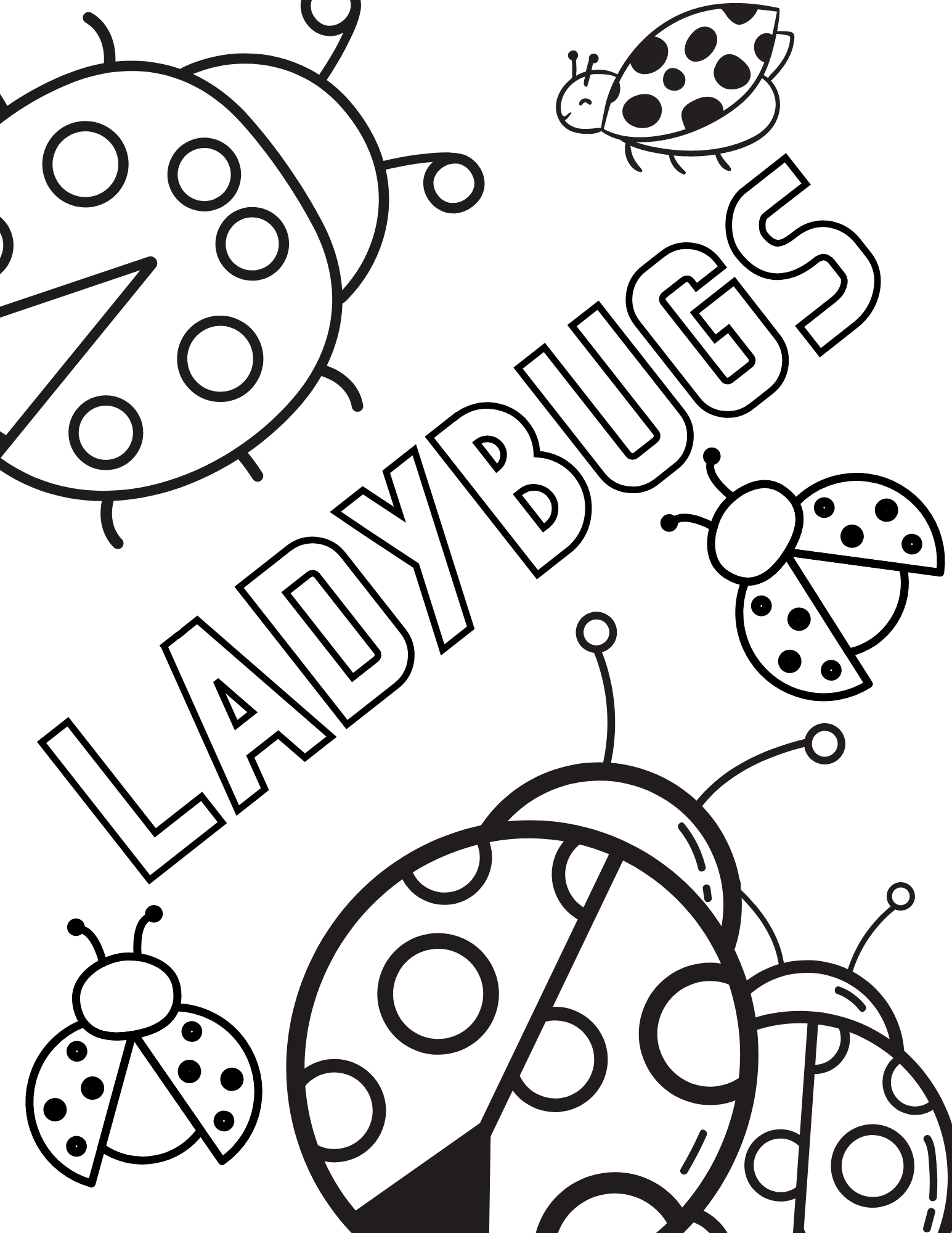 ladybug coloring page ladybug coloring page