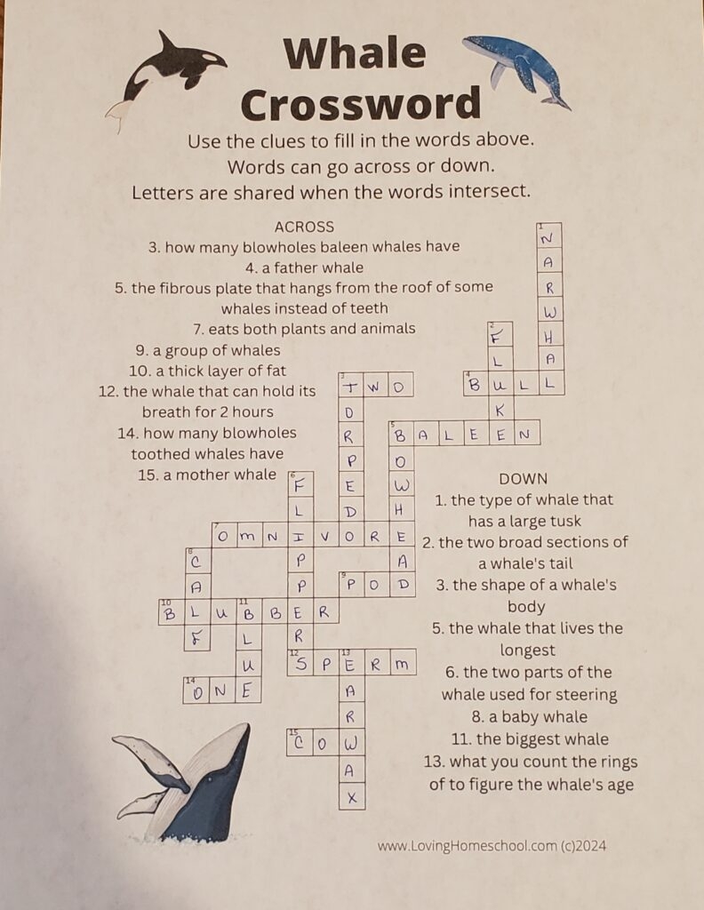 groups of whales crossword clue