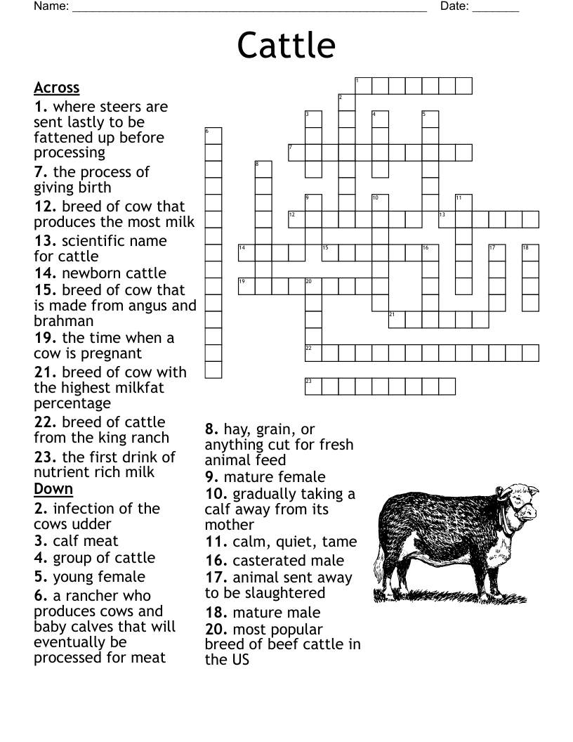 Holy Cow Word Search WordMint