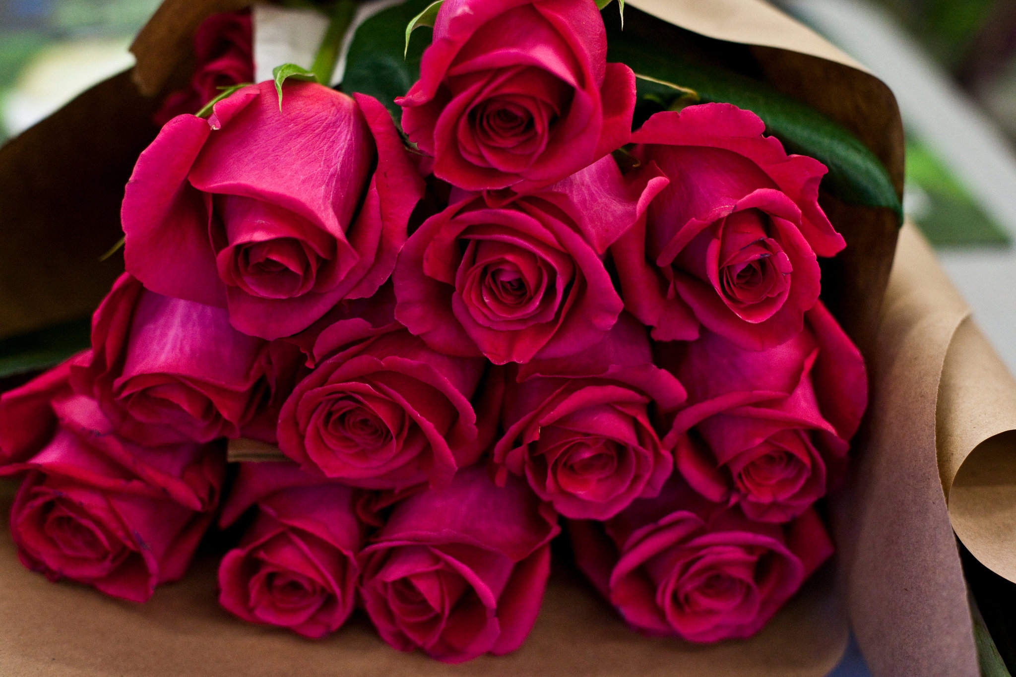 oil of roses crossword oil of roses crossword