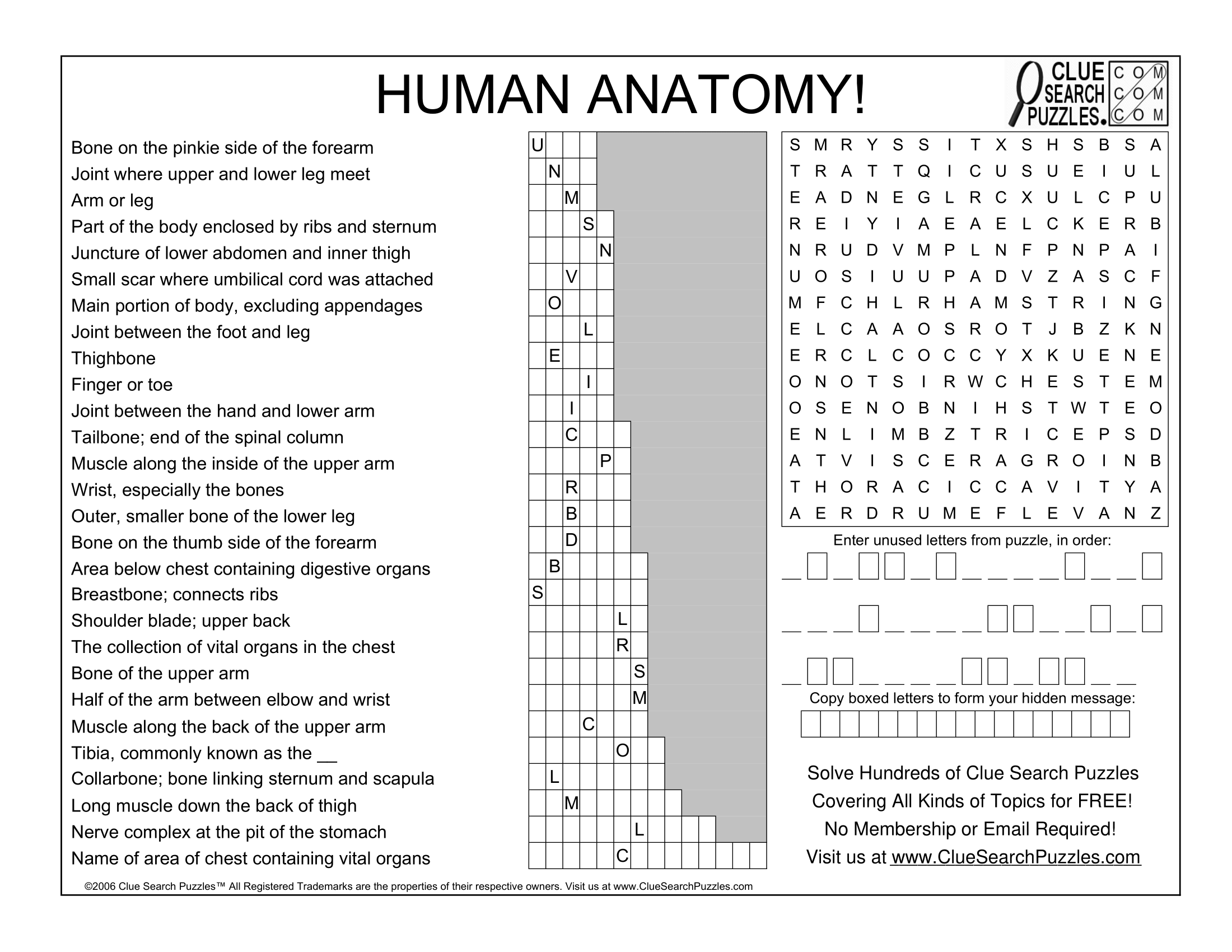 leg bone crossword clue