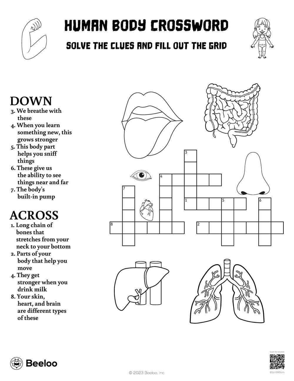 Human Body Crossword Beeloo Printable Crafts And Activities For Kids