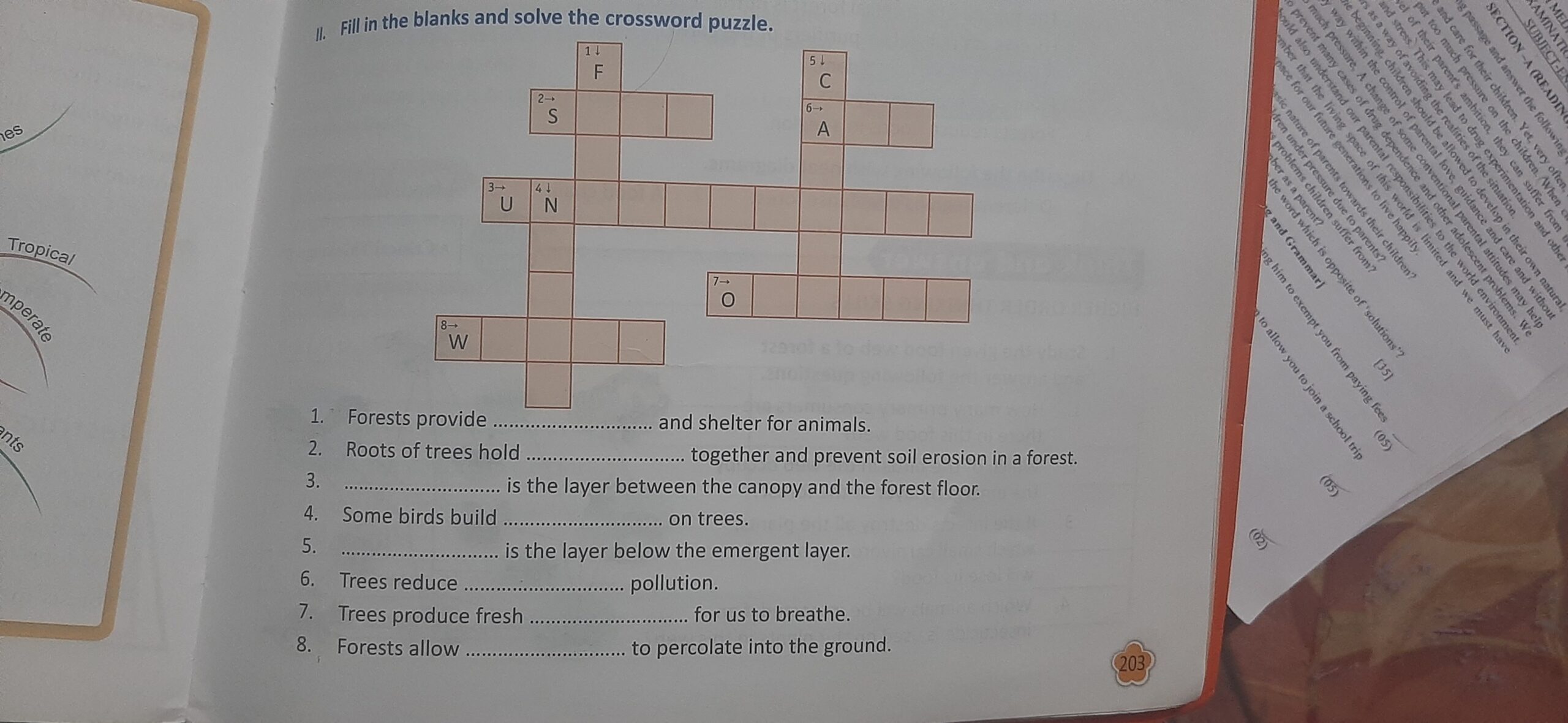 percolate crossword clue