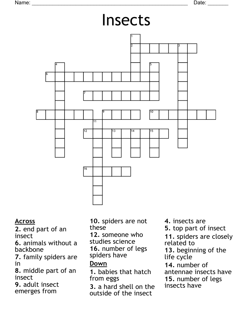 Insects Crossword WordMint