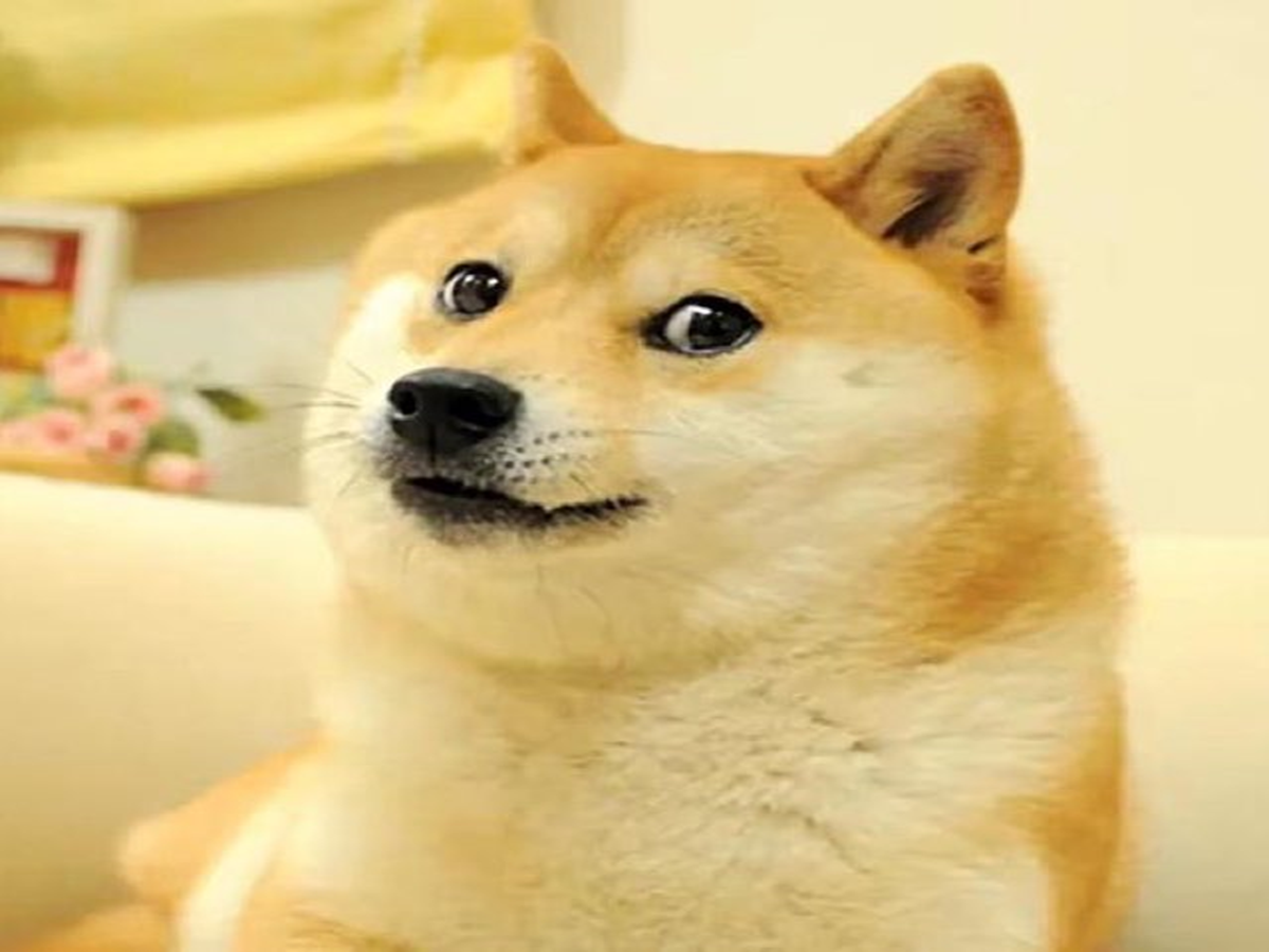 japanese dog crossword