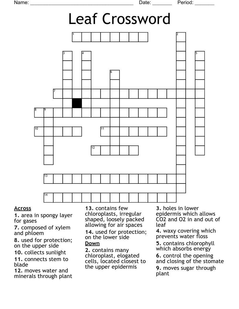 Leaf Crossword WordMint