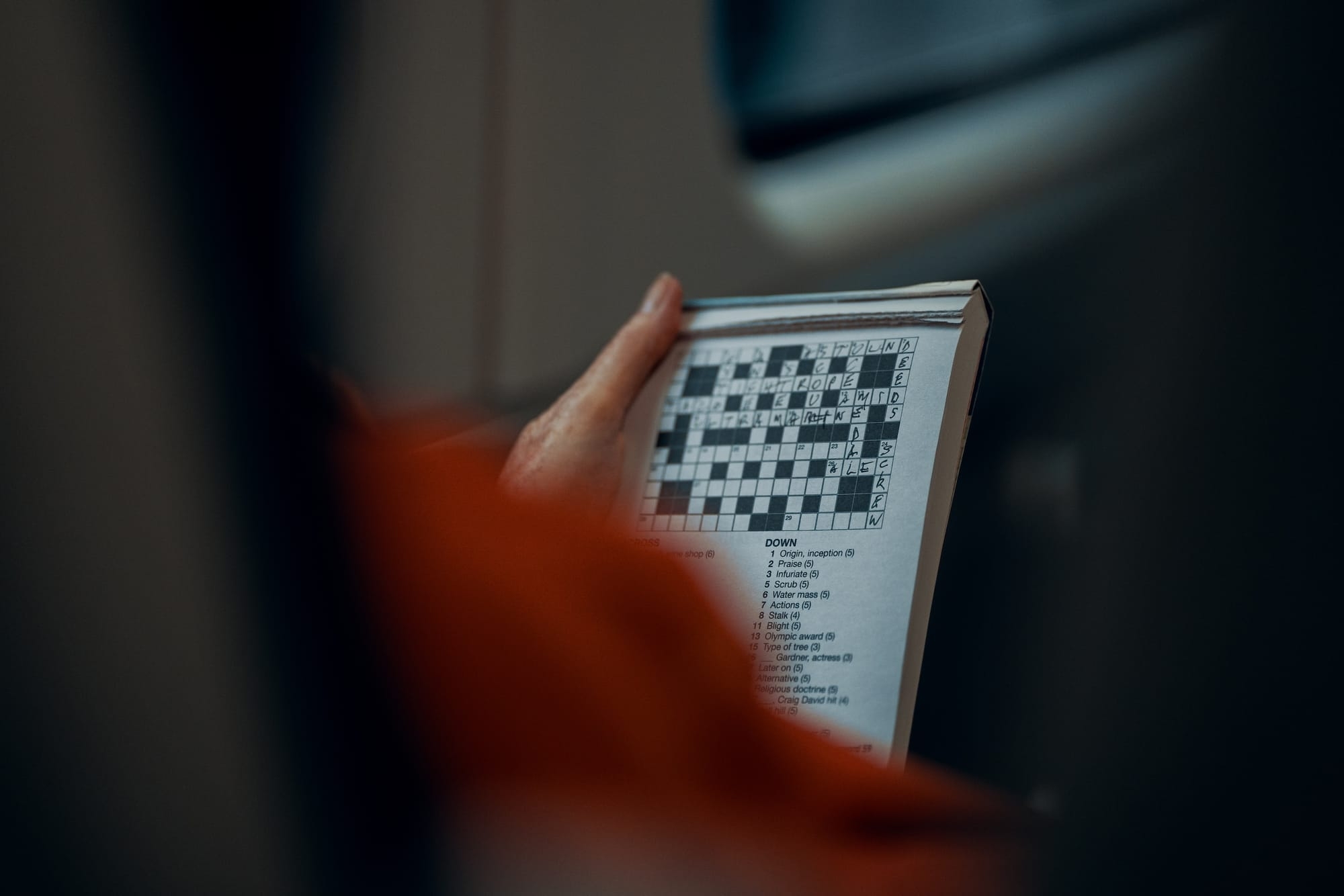 link crossword clue