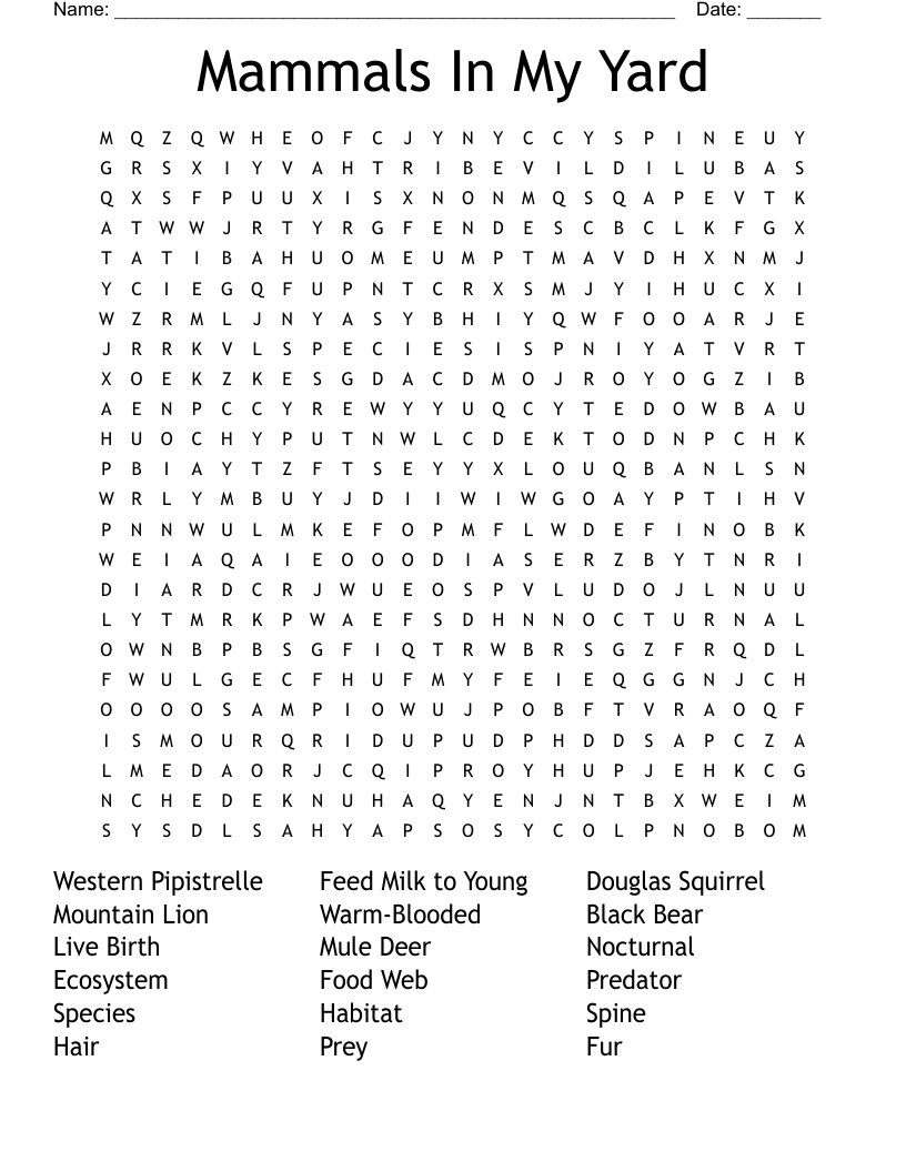 Mammals In My Yard Word Search WordMint Mammals In My Yard Word Search WordMint