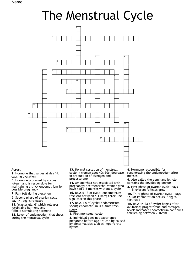 Menstrual Cycle Crossword WordMint