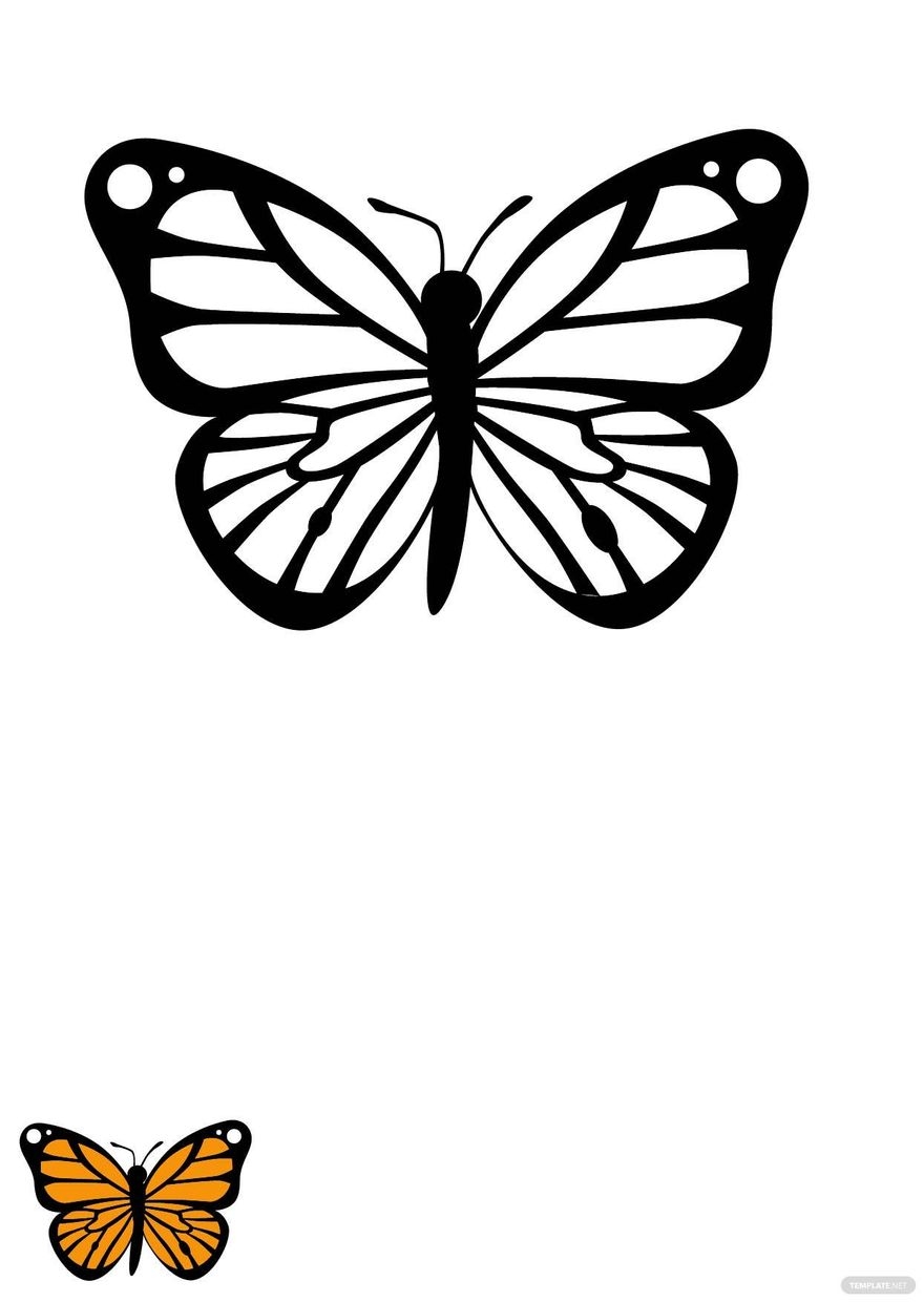 Monarch Butterfly Coloring Page In PDF Download Template Monarch Butterfly Coloring Page In PDF Download Template