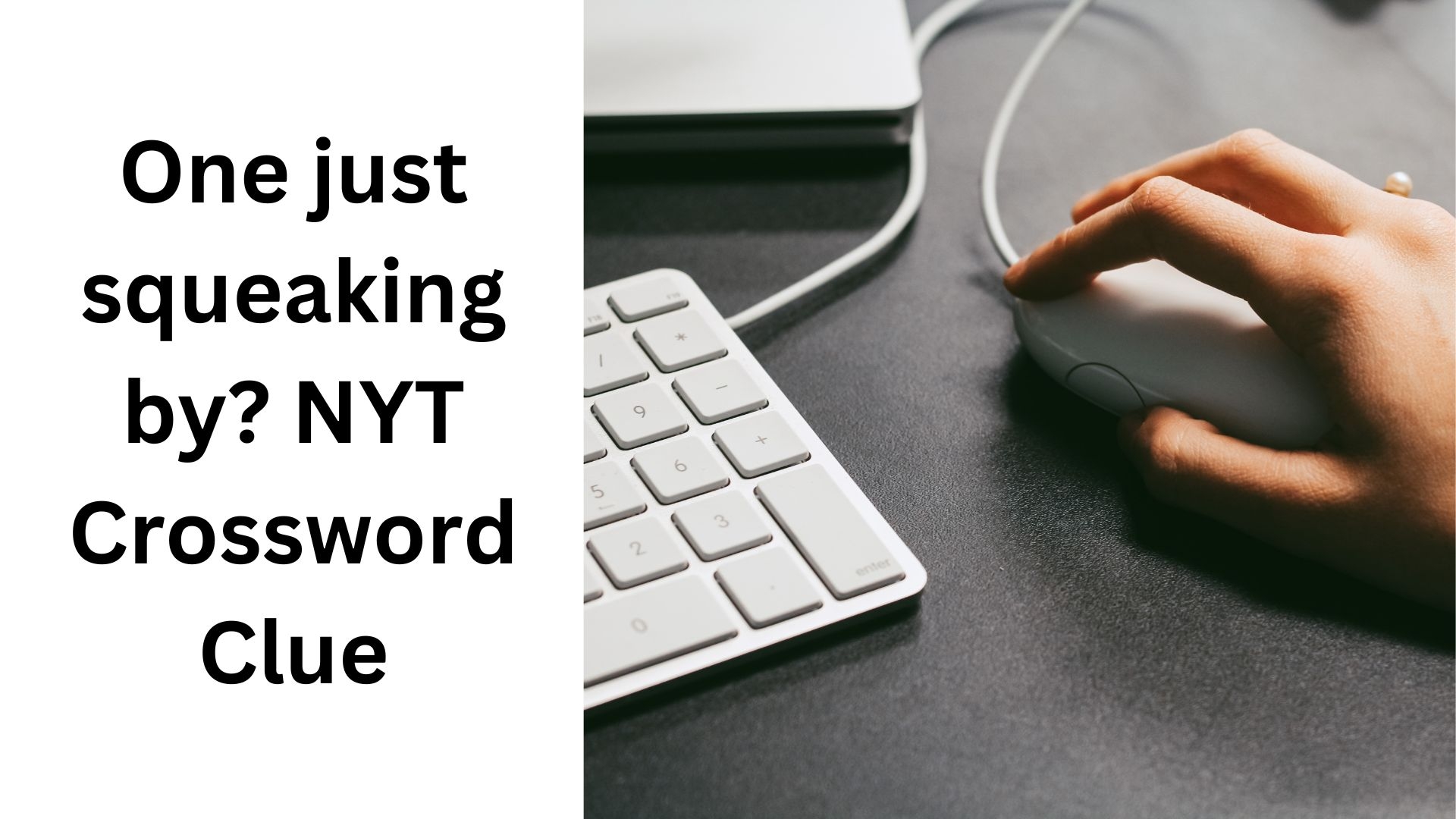 just crossword clue