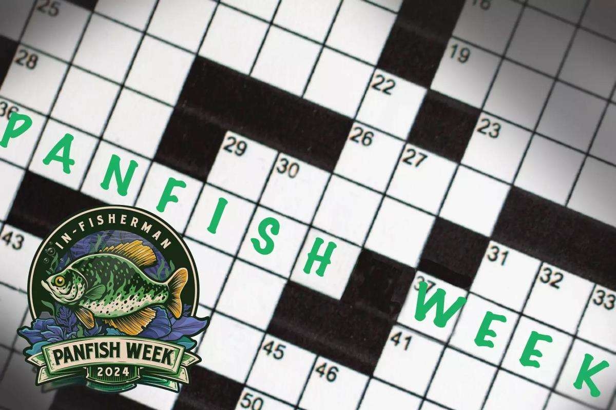 Panfish Week Panfish Fishing Crossword In Fisherman