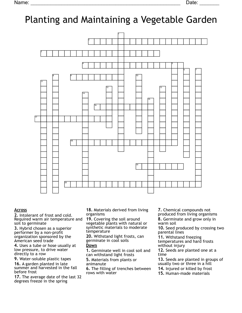 Planting And Maintaining A Vegetable Garden Crossword WordMint