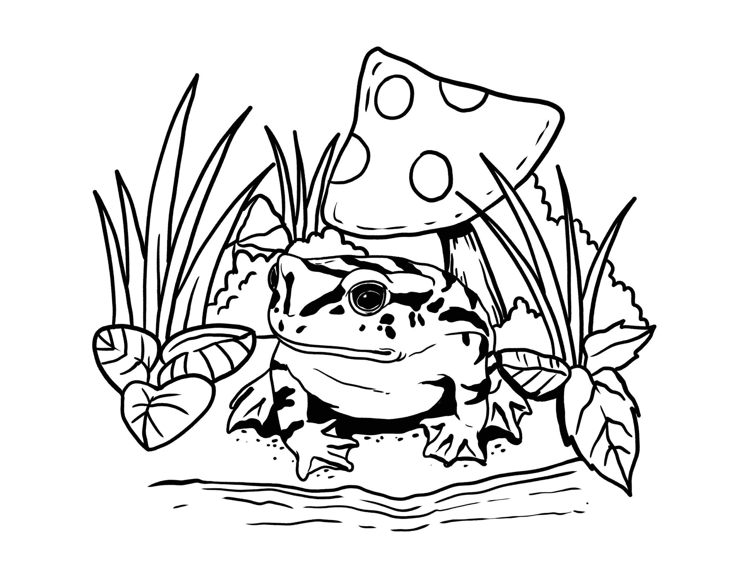 frog coloring pages