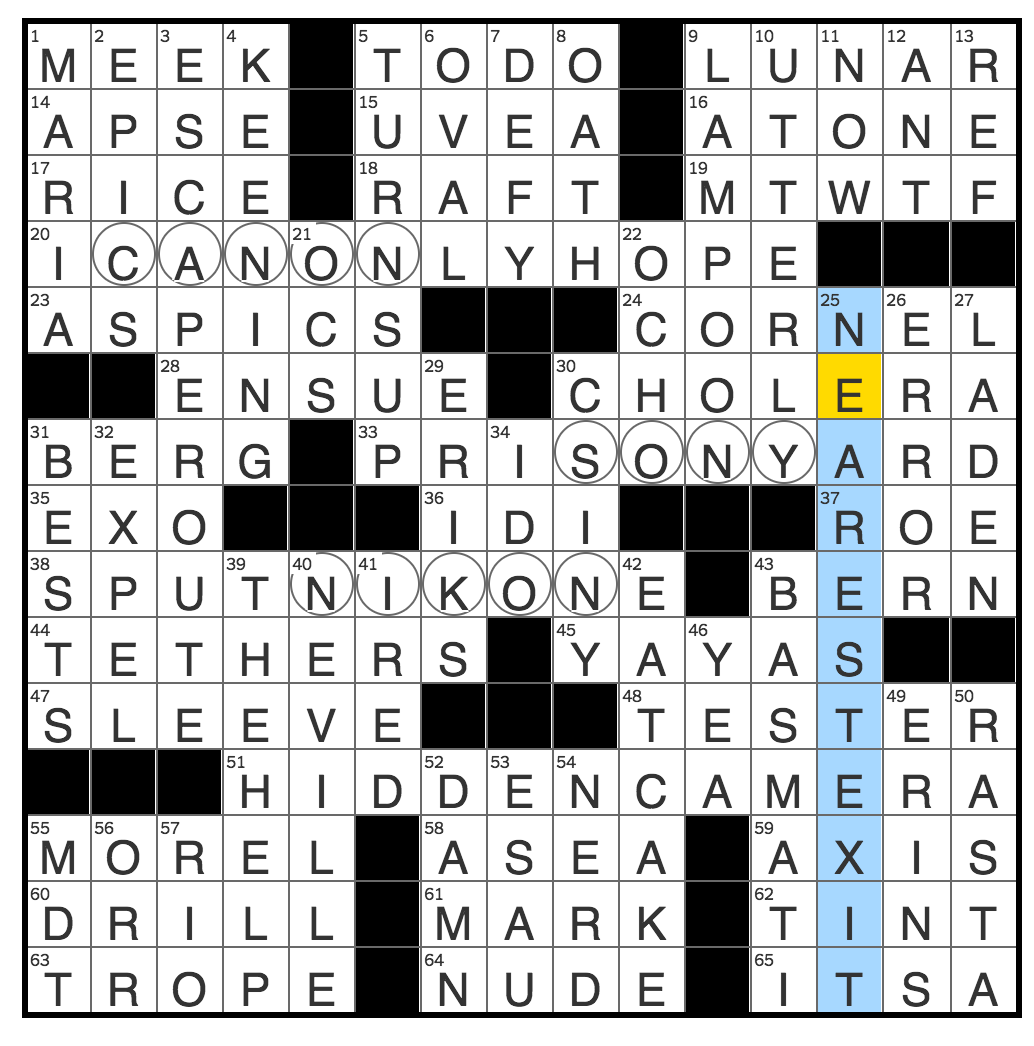 olive genus crossword