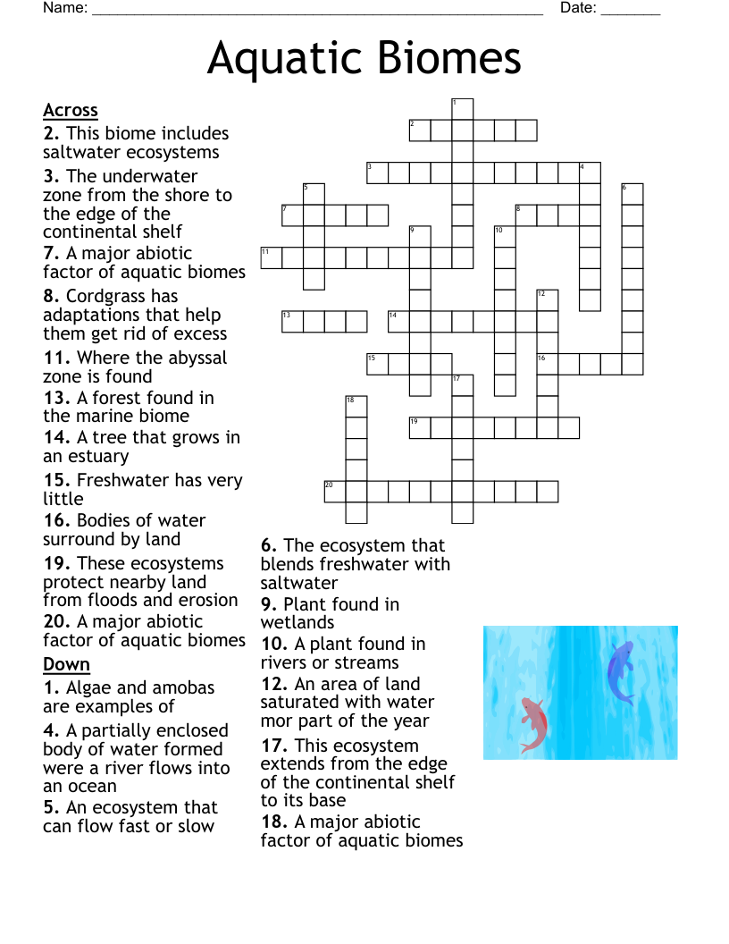 Salmon Crossword WordMint