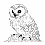 Snowy Owl Coloring Pages Coloring Corner