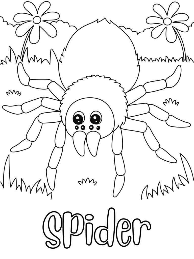 Spider Coloring Page DIGITAL DOWNLOAD Printable Coloring Page Etsy