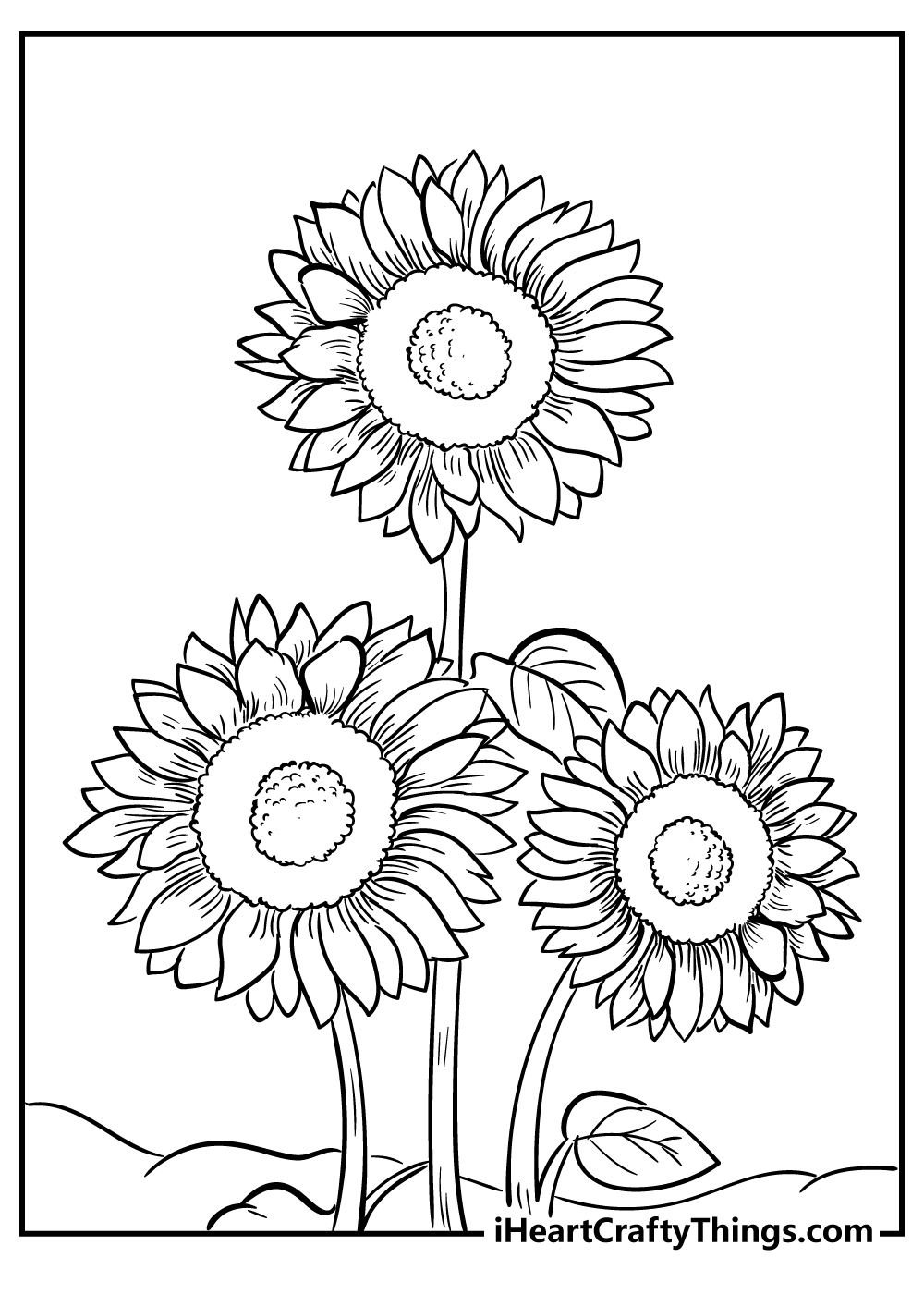 Sunflower Coloring Pages 100 Free Printables Sunflower Coloring Pages 100 Free Printables