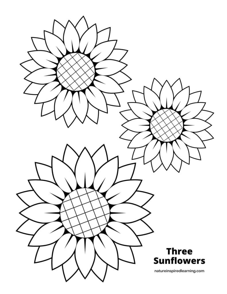Sunflower Coloring Pages For Kids Nature Inspired Learning Sunflower Coloring Pages For Kids Nature Inspired Learning