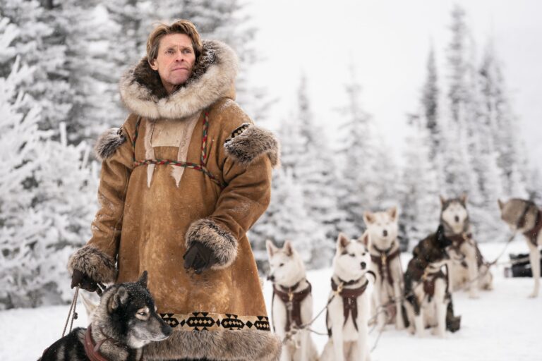 Togo Review A Man His Dogs And A Very Bad Storm The New York Times