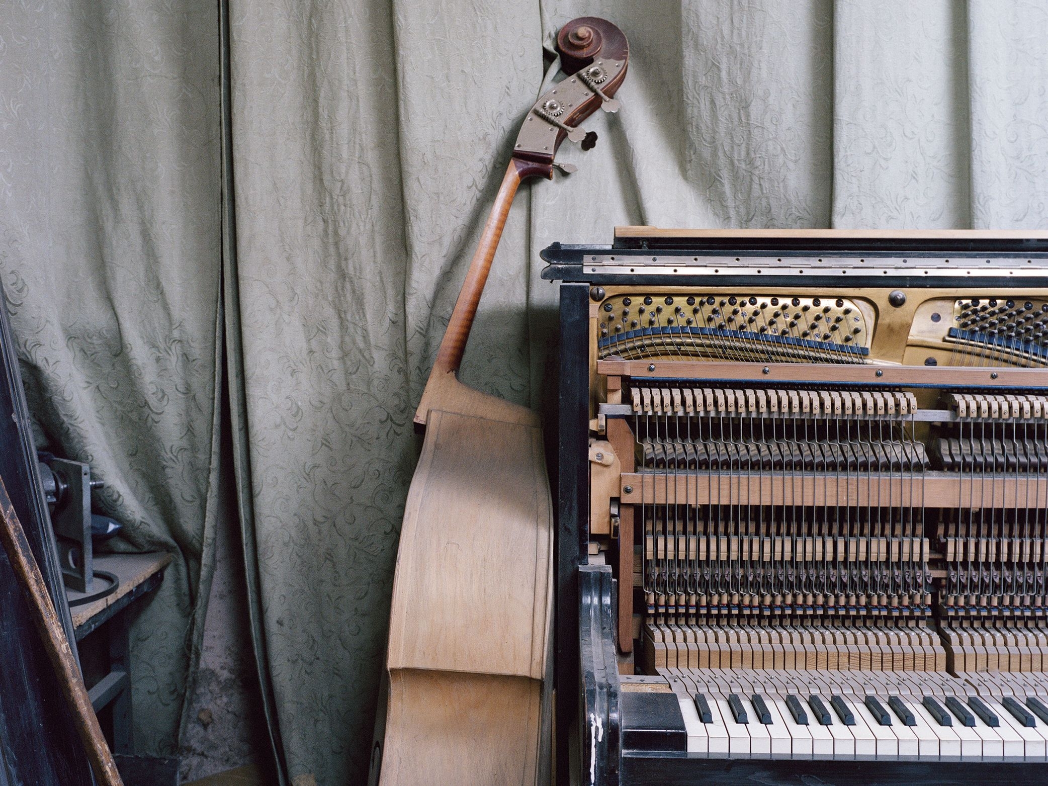 What My Musical Instruments Have Taught Me The New Yorker