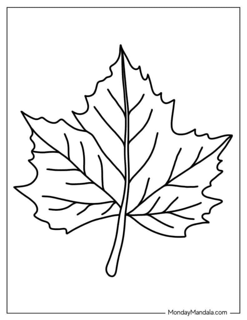 34 Leaf Coloring Pages Free PDF Printables  34 Leaf Coloring Pages Free PDF Printables
