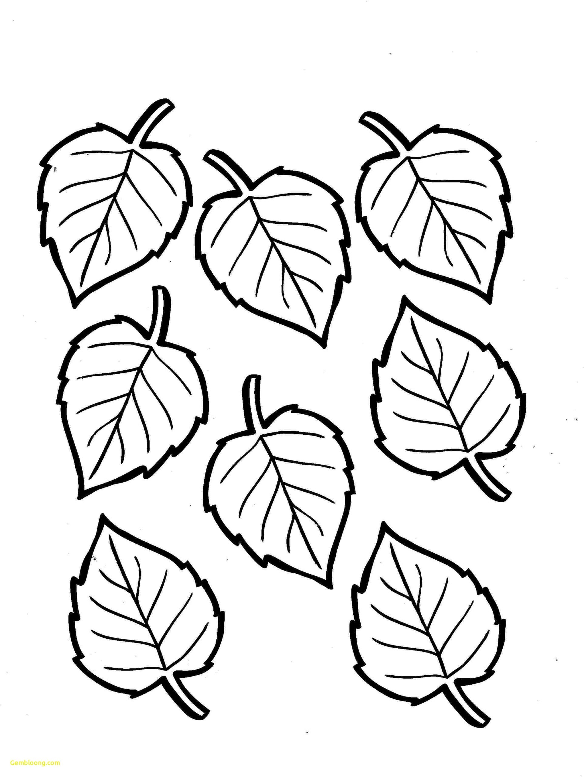 Coloring Pages Preschool Fall Leaves Coloring Pages Coloring Pages Preschool Fall Leaves Coloring Pages